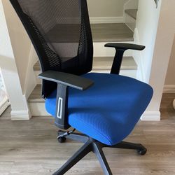 Ergonomic Office Chair