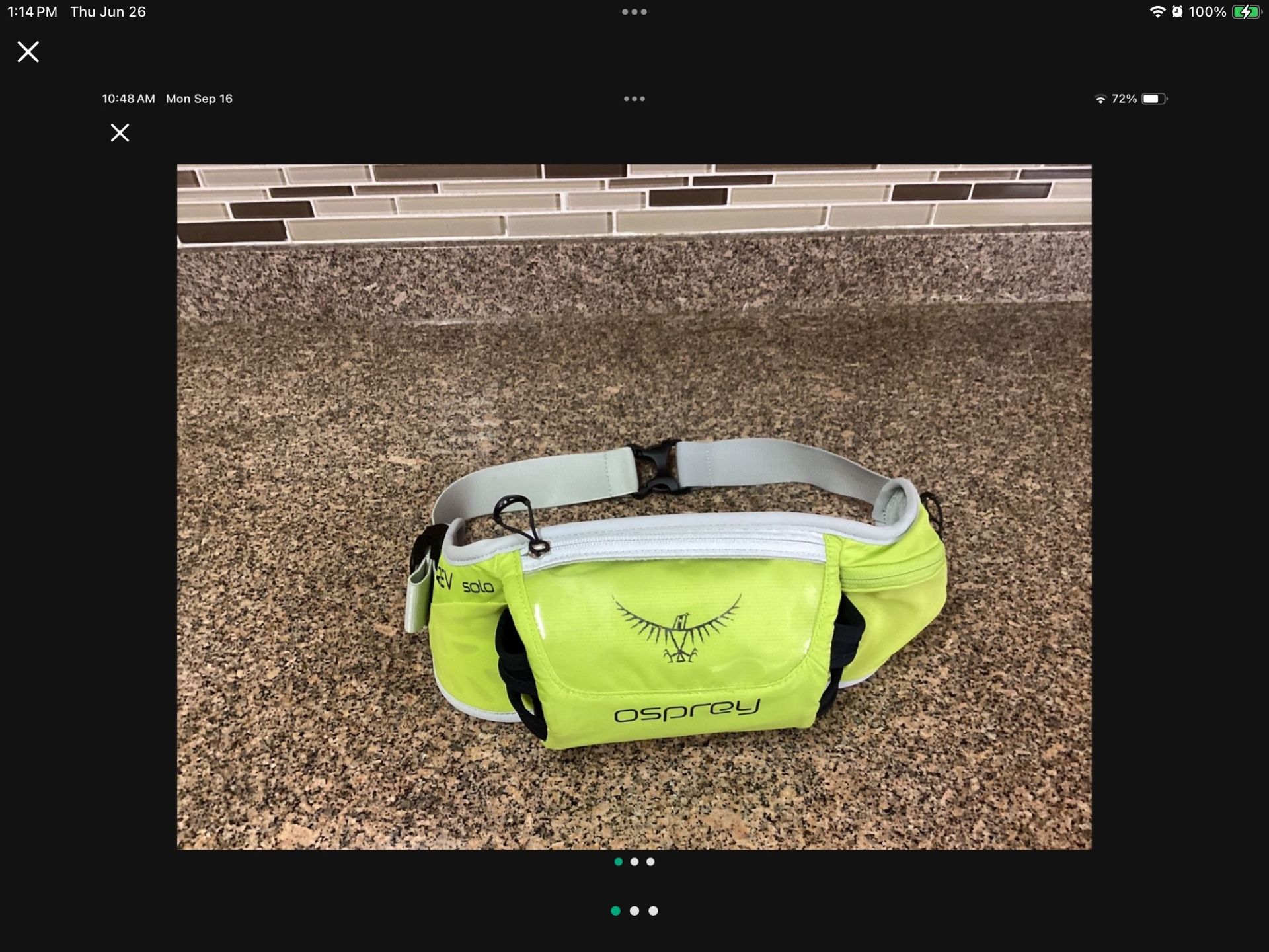 Fanny Pack-Osprey (G)
