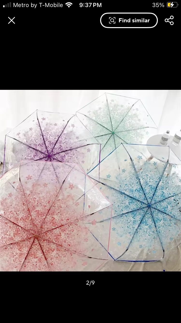 Let It Rain, Blossom in Style!