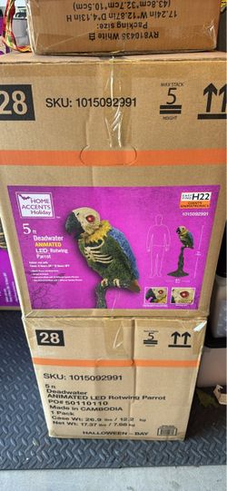 Halloween parrot
