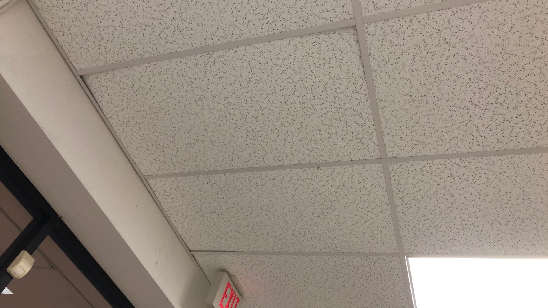 Ceilings two cases