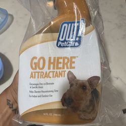 Dog House Care Training