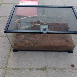 10 Gallon Reptile Aquarium 