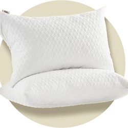 Pillow Protectors with Zipper, Noiseless Hypoallergenic Pillowcase for a Better Sleep, Standard Size, Set of 2