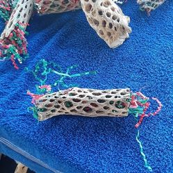 Foraging Toys For Birds