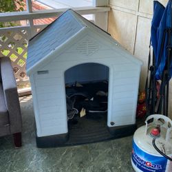 Big Dog House And Dog Crate 