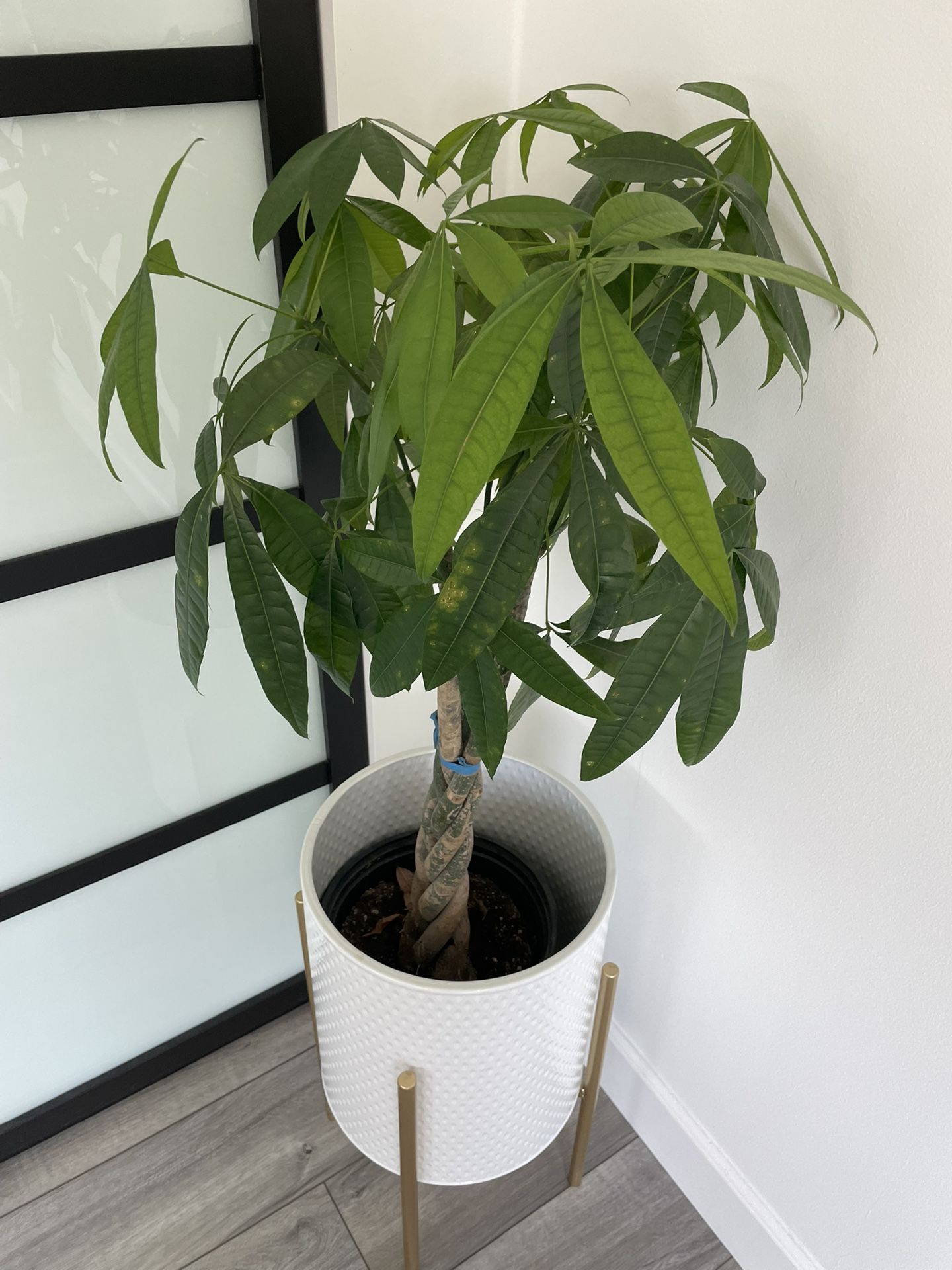 Two 2 Planter Plant Pot