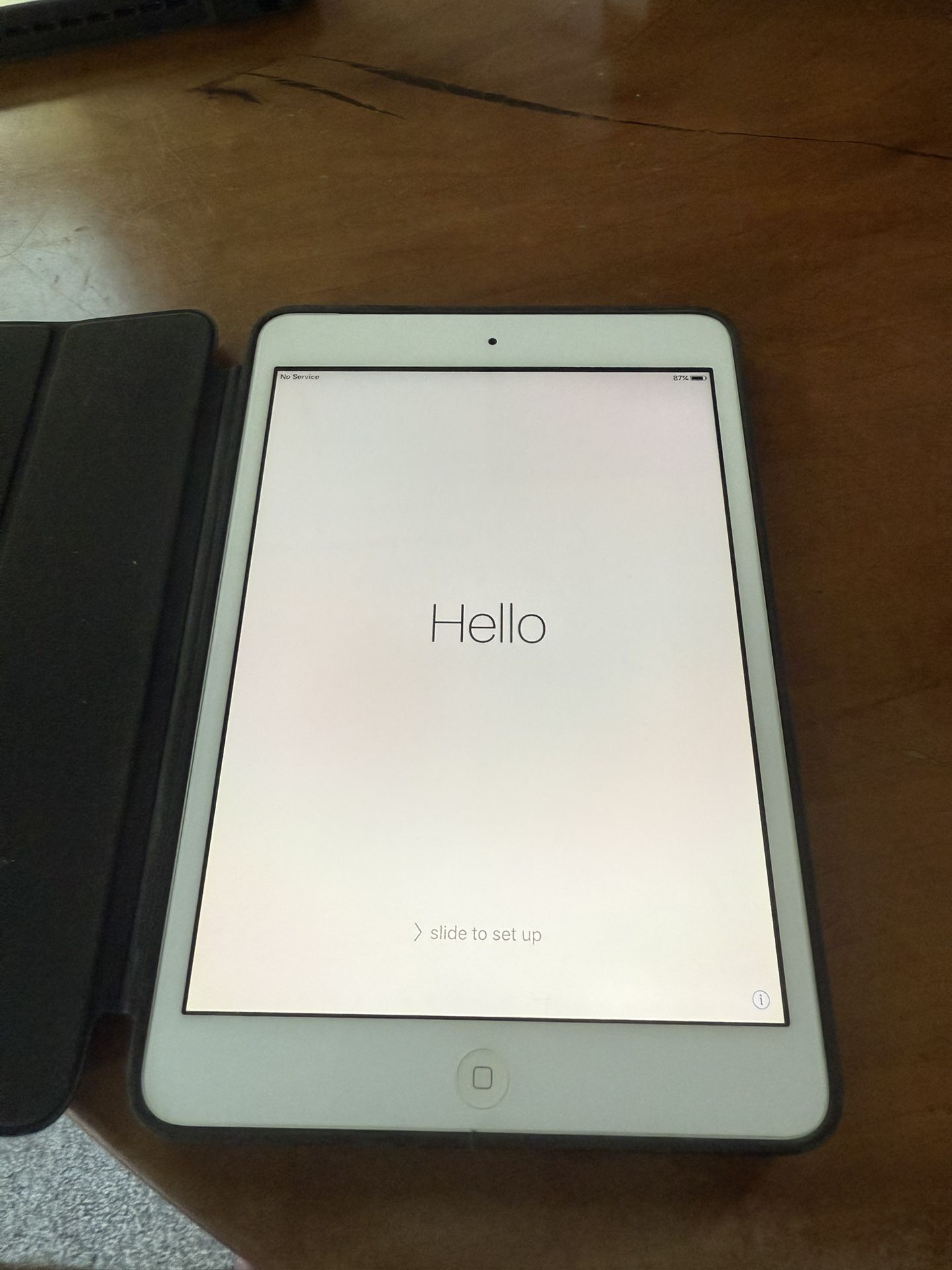iPad Mini WiFi & Cellular