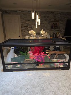 Reptile Terrarium Tank BUNDLE