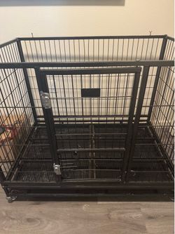 Kennel