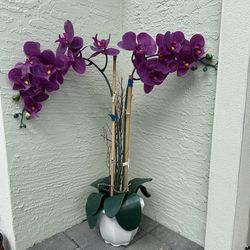 Fuchsia Orchid (fake)