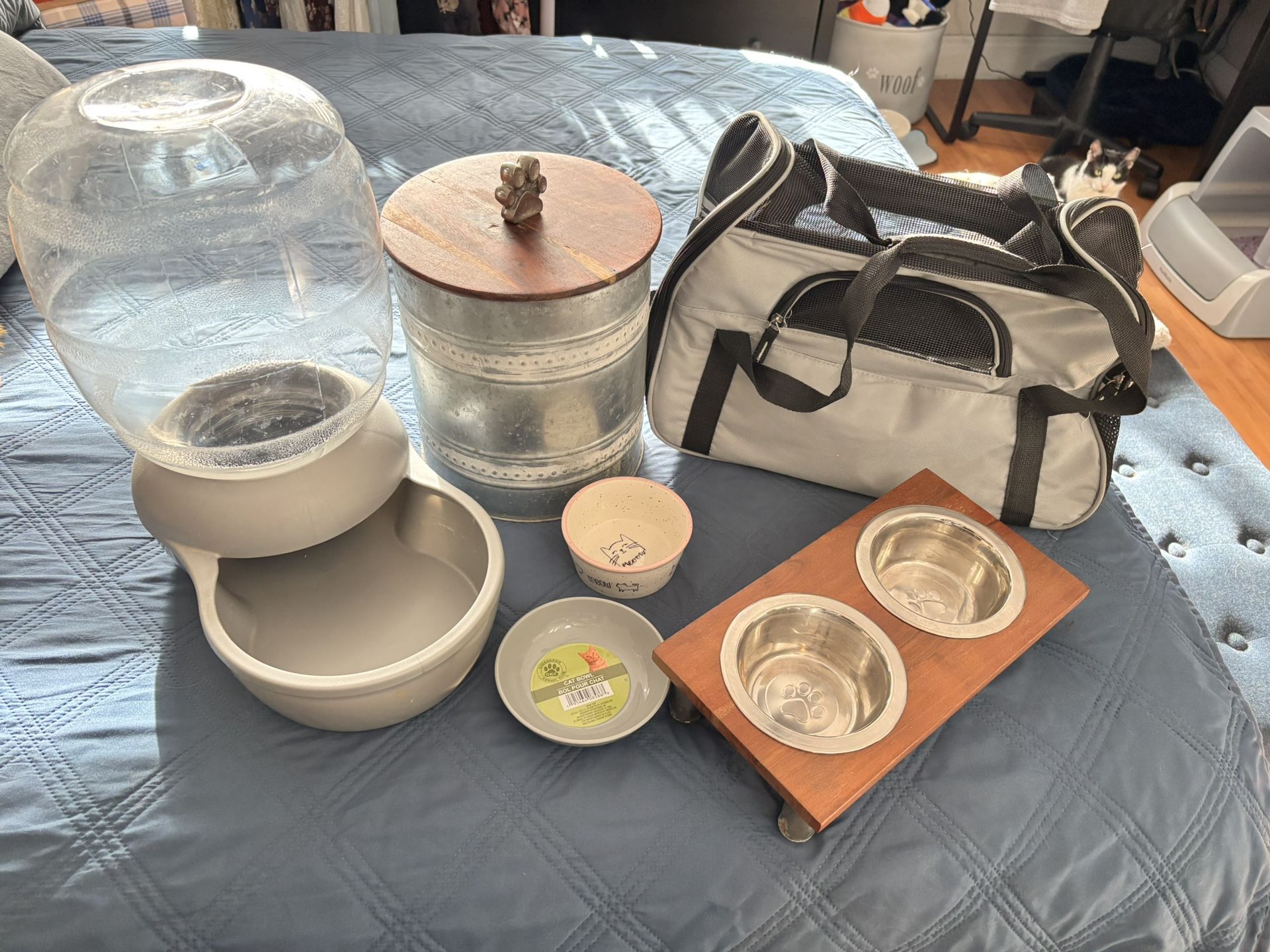 Various cat Supplies