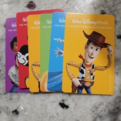2 ONE DAY DISNEY WATER PARK TICKETS