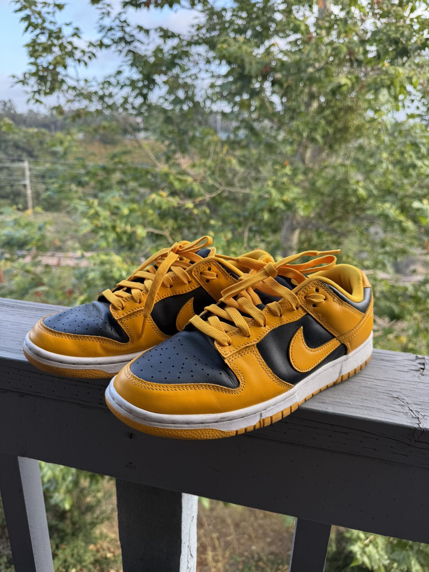 Nike Dunk Low "Thunder" (Mens Size 9)