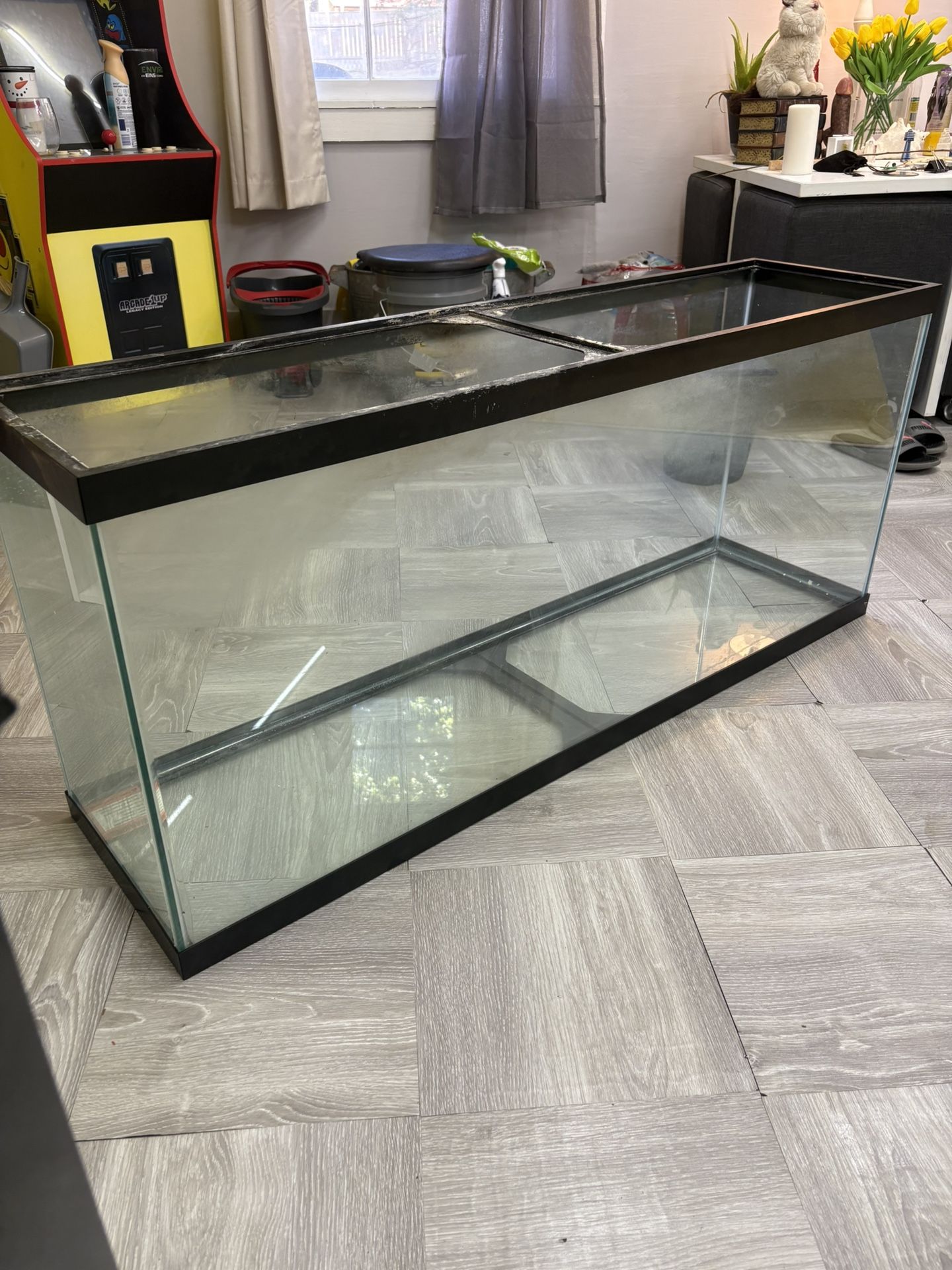 55 Gallon Aquarium With Black Stand 