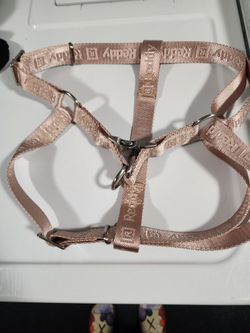Collar Dog LG