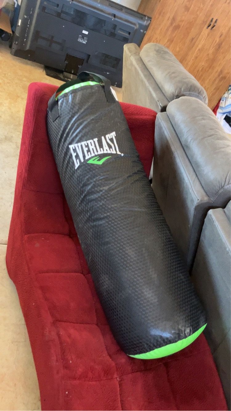 Everlast Punching Bag 