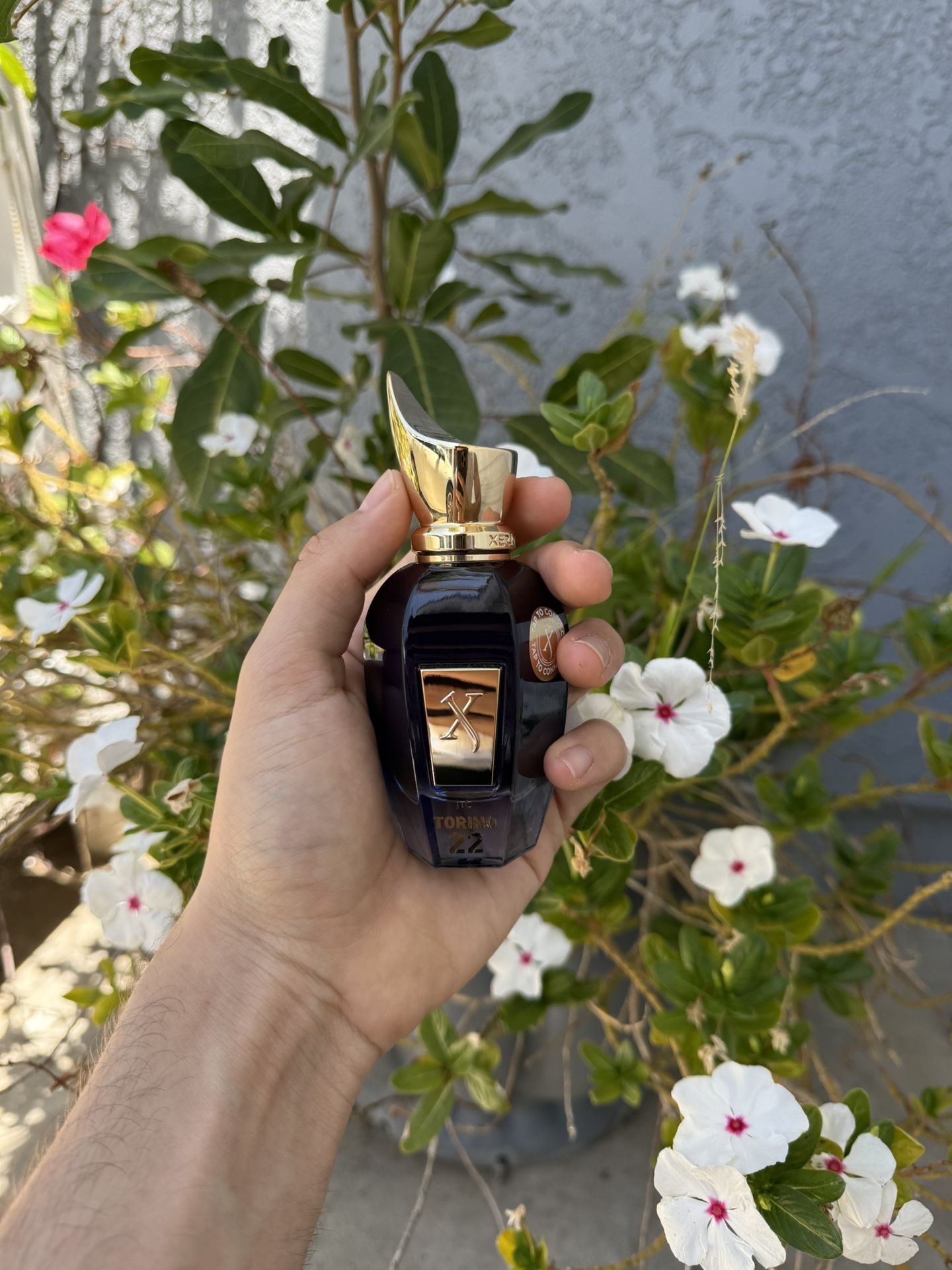 XERJOFF Torino 22 / 50ml READ DESCRIPTION‼️