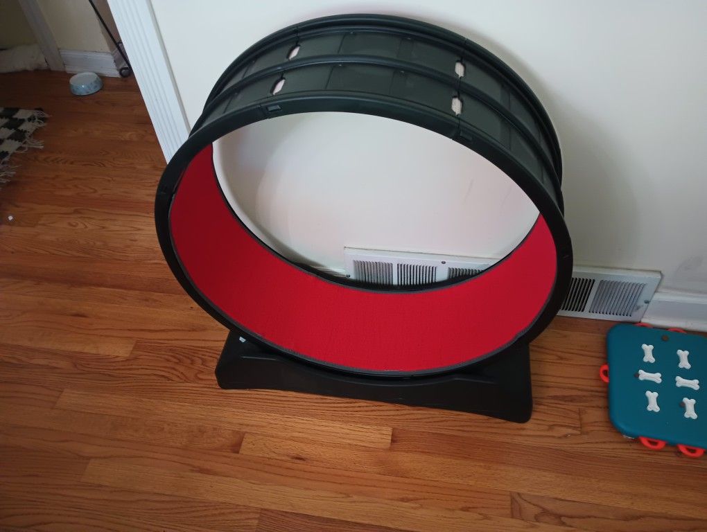 Cat Treadmill