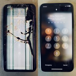 iPhone 11 Screen