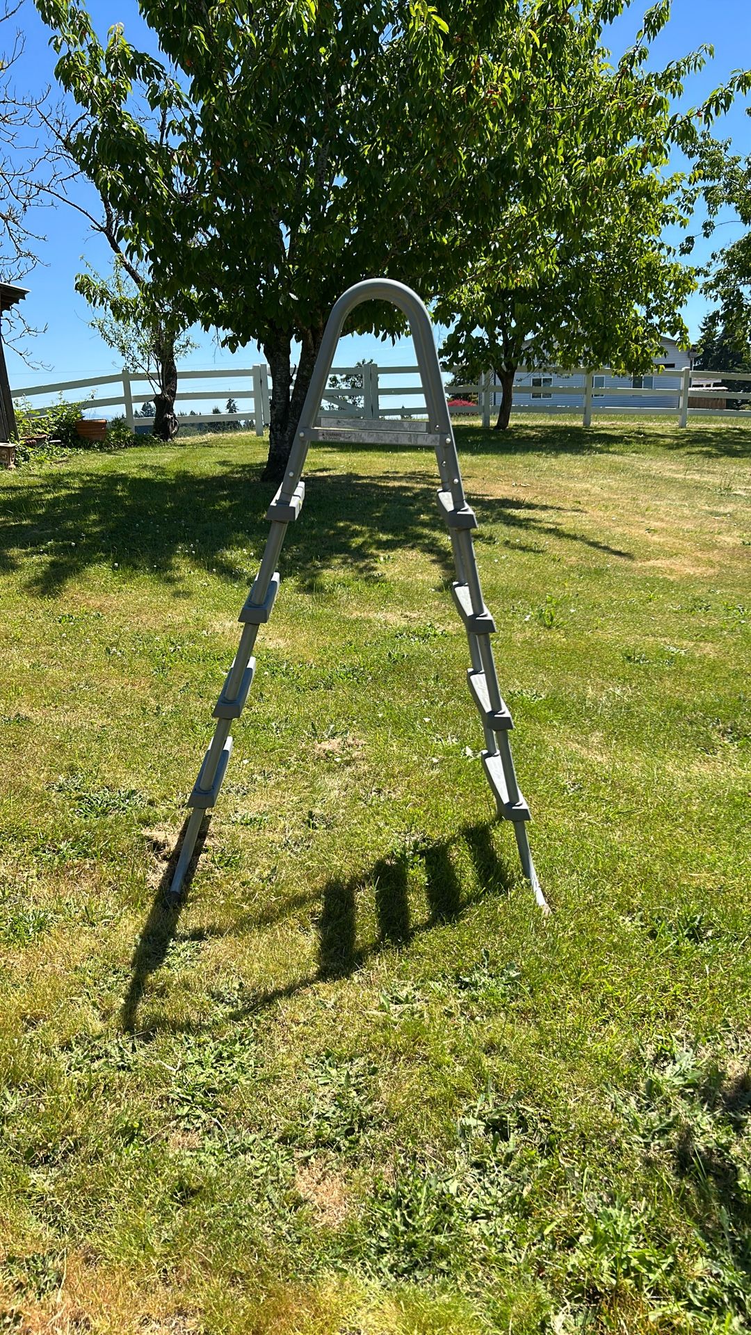 Pool Ladder