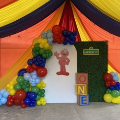 Balloons And Backdrops 