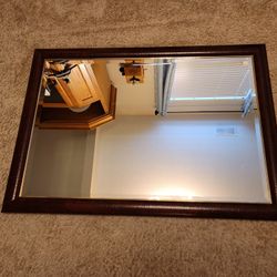 Classy Large Mirror