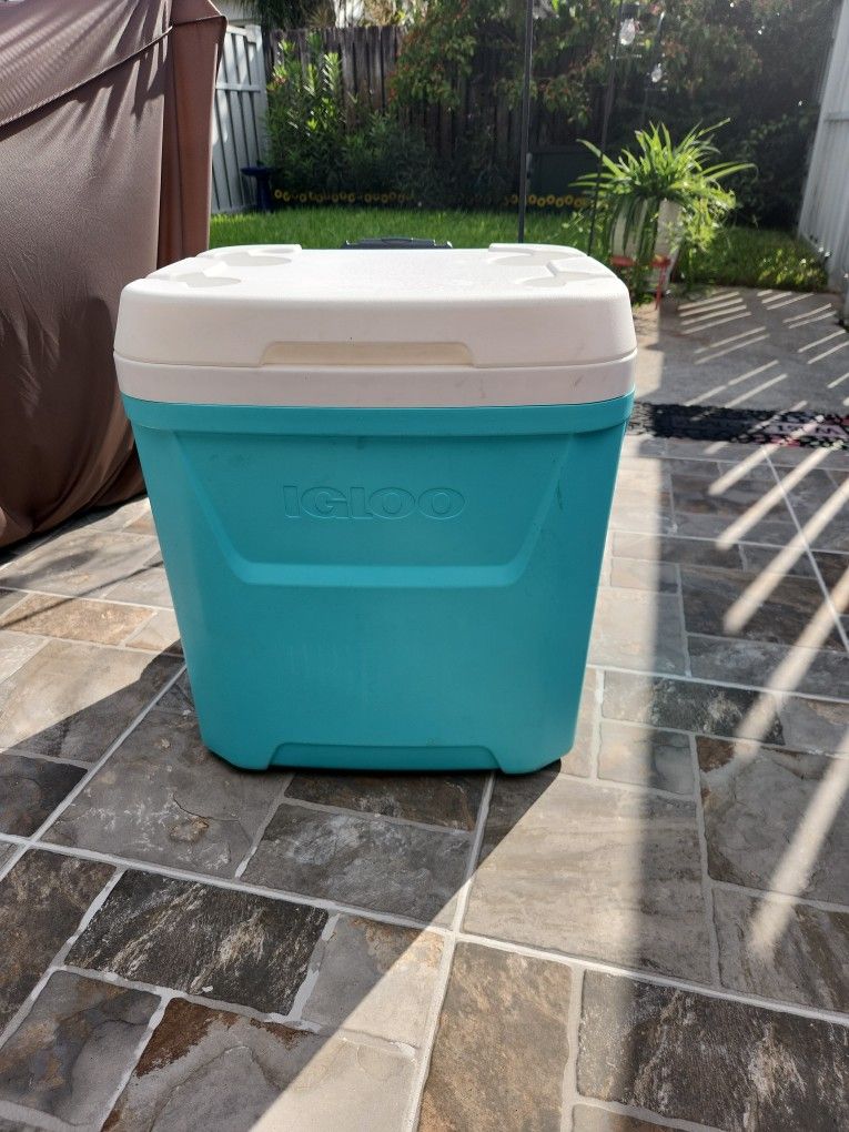 Igloo Cooler