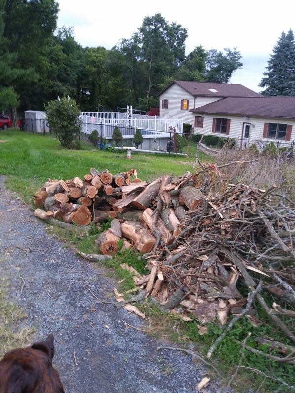 Firewood. for Sale in Kearneysville, WV OfferUp