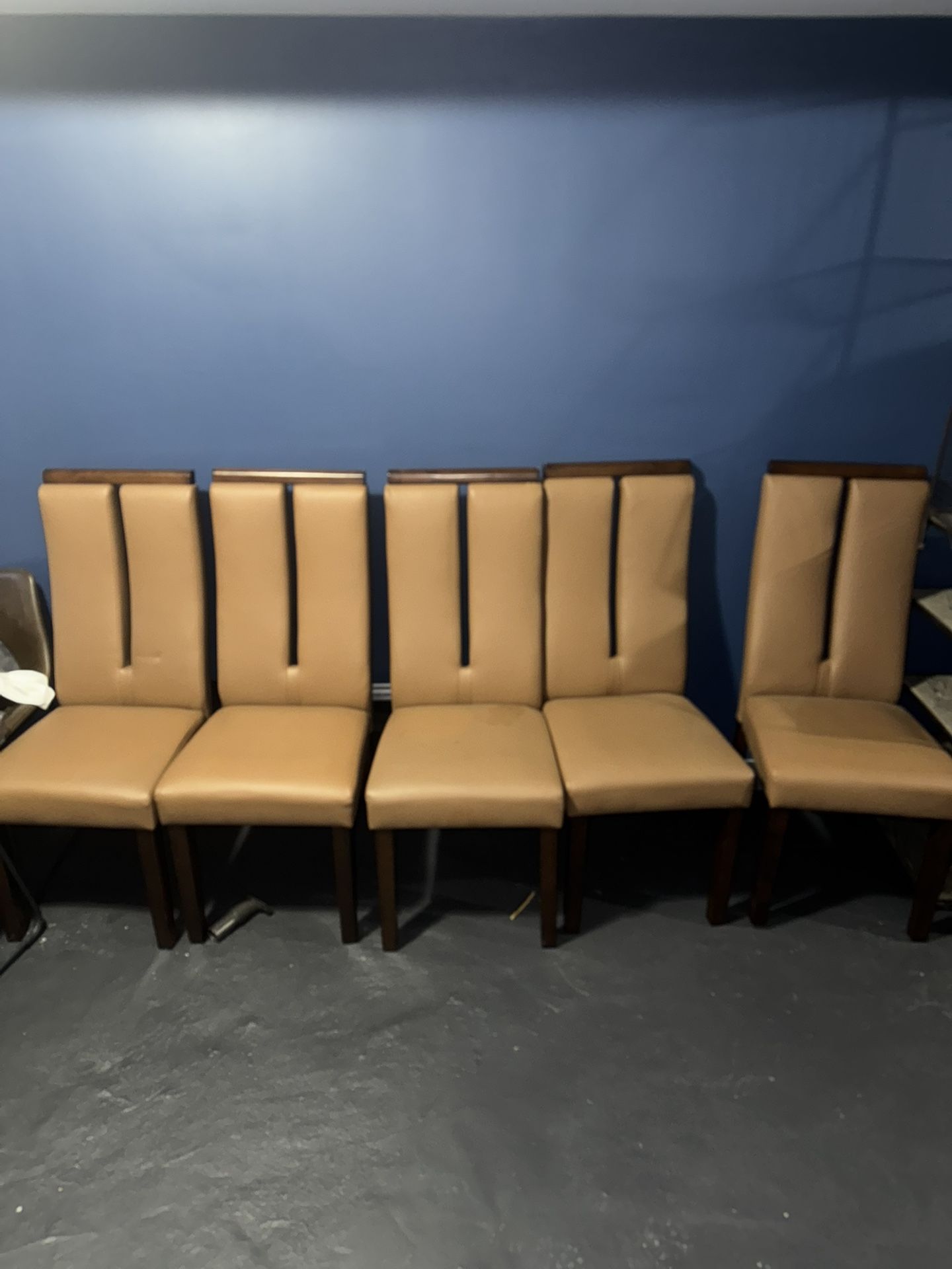Dinning Chairs