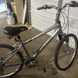 Raleigh C30 Hybrid bike