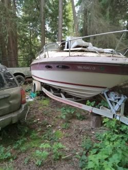 24ft Searay Boar And Trailer0