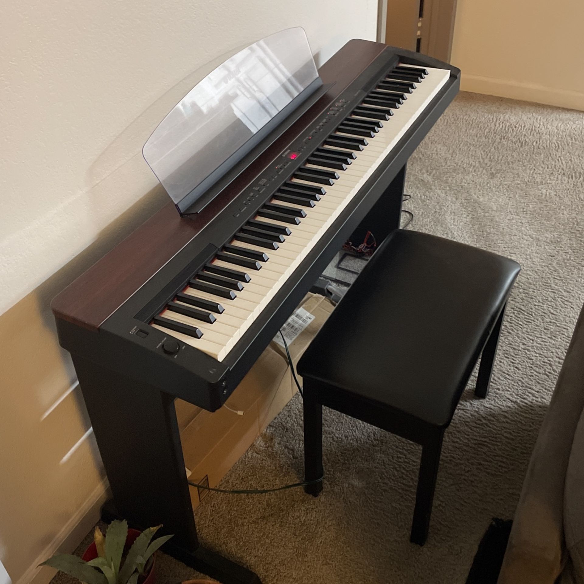 Electric Grand Piano