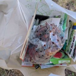 Bag of Opened And Unopened Seeds, And Various Seed Starter Msc Items - Free But You Get The Whole Bag