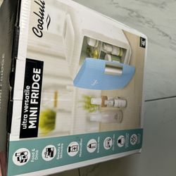 Mini Fridge