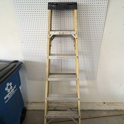 6 Foot Ladder 
