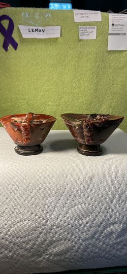 2 Ox Horn Libation Cups