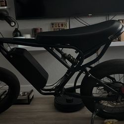 Electric Bike 