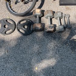 Assorted Weights $1 Per Pound