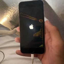 iPhone 6 
