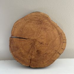 Custom Live Edge Wood Round wall art 