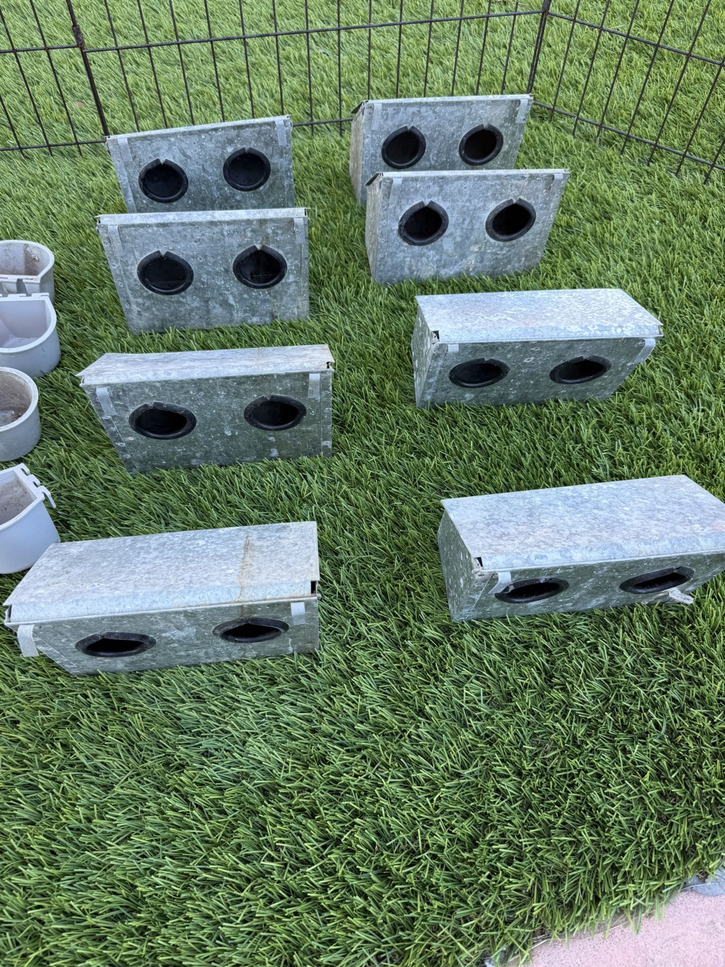 Bird Breeding Supplies