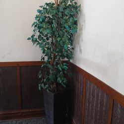 Artificial  Plant 