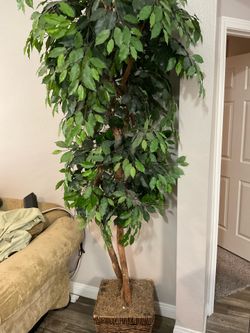 Artificial ficus tree