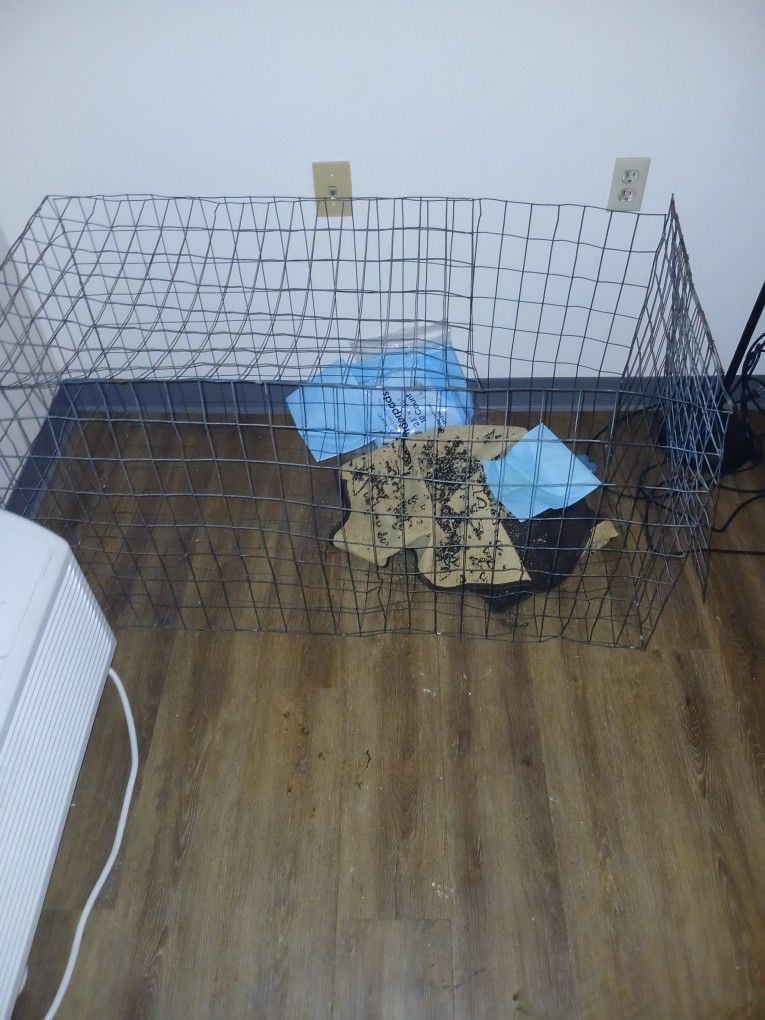 Animal Cage