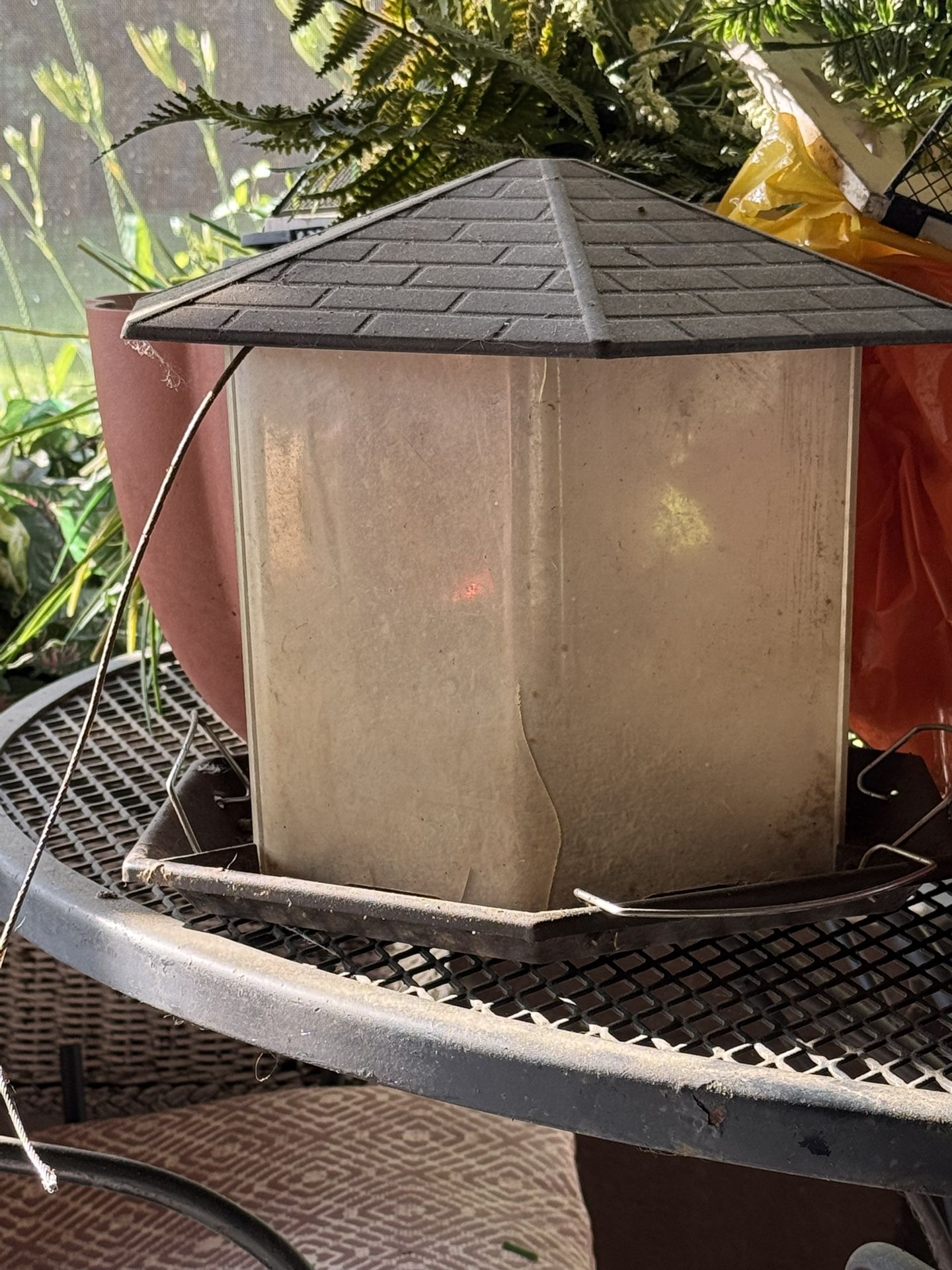 Bird Feeder