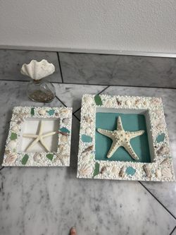 3 Item Beach Theme Starfish & Seashell Home Decor