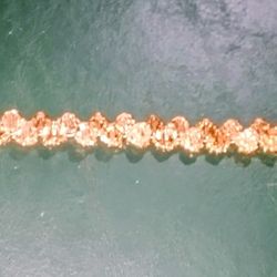Gorgeous Women's Peach Crystals and Gold glass beads w/ Togle Closure Braclet Sz 7"  Cash