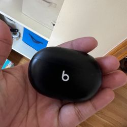Beats Studio Buds Replacement Case