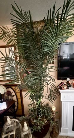Artificial plant, Artificial Palm